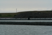 Installation d'une prise d'eau au Port de Belledune